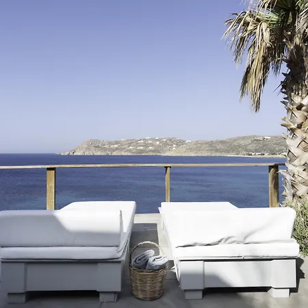 Greco Philia Boutique Ελιά