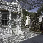 Greco Philia Boutique 5* Ελιά